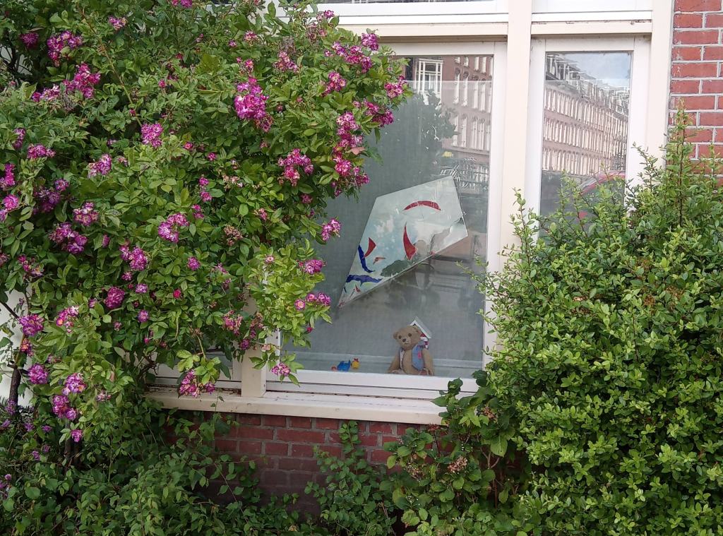 Мече на прозорец в Амстердам