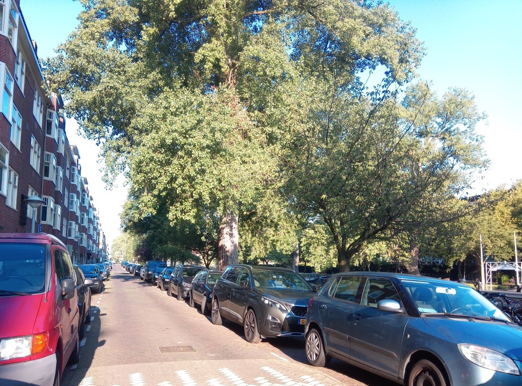 Паркирани автомобили в Амстердам