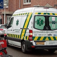 Dierenambulance: спешна помощ за животни