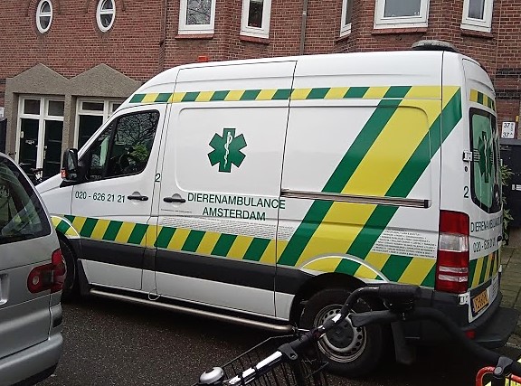 020 – 626 21 21 е номерът на амстердамските животински линейки.