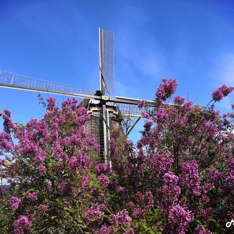 Ouderkerk aan de Amstel: велосипеден маршрут и забележителности