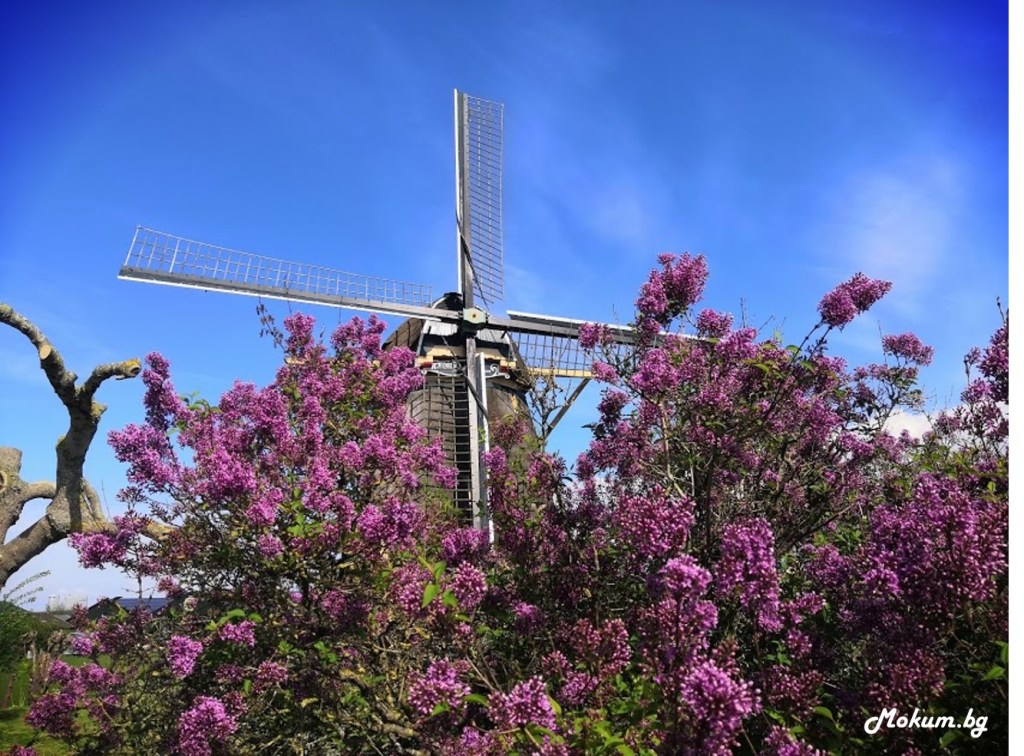 Мелницата De Zwaan, Ouderkerk aan de Amstel, Холандия