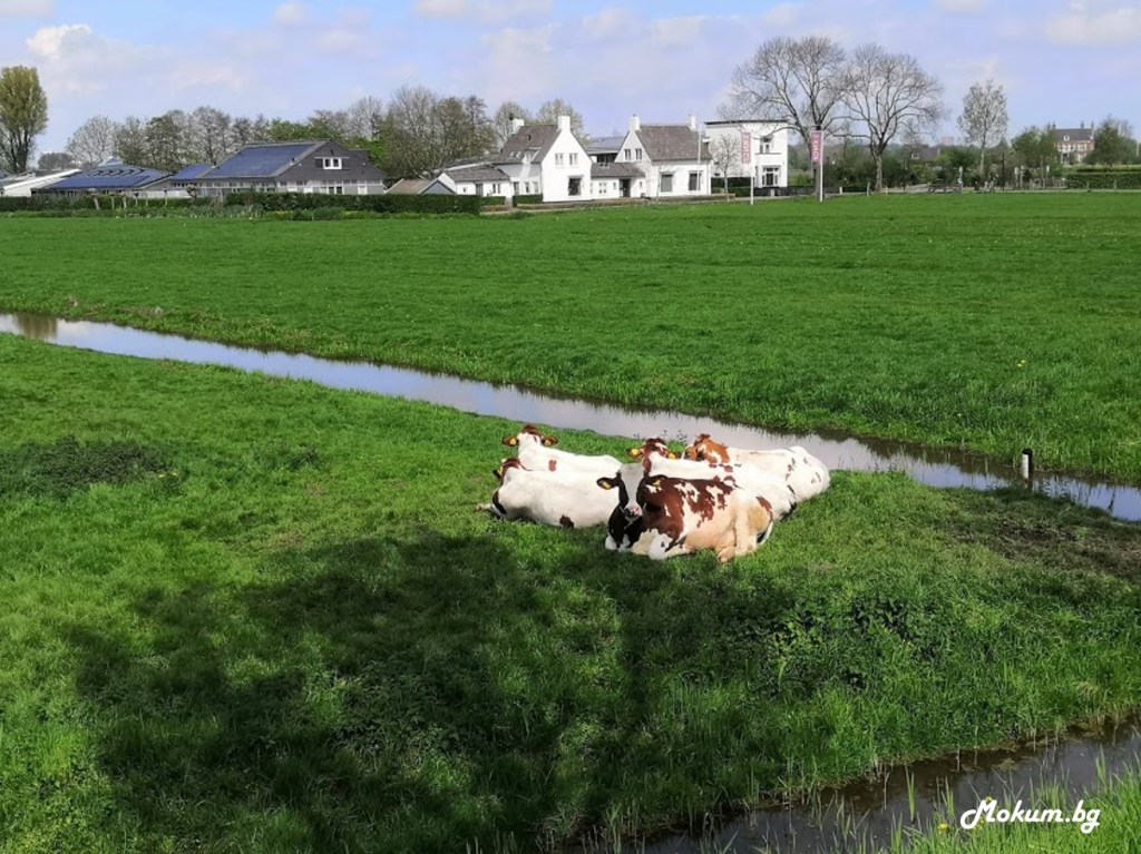 Десетината километра между Ouderkerk aan de Amstel и Amsterdam са голяма красота, от която и страна на река Амстел да ги изминавате. Холандия