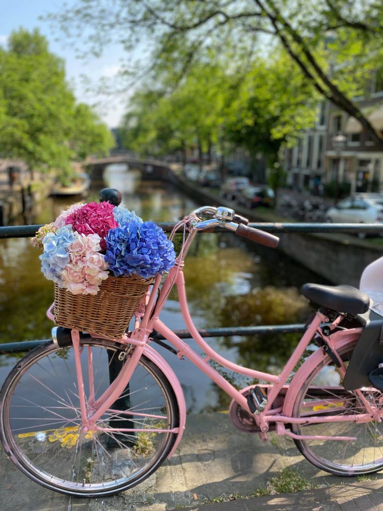 “Как откраднаха първото ми колело” Amsterdam, Netherlands