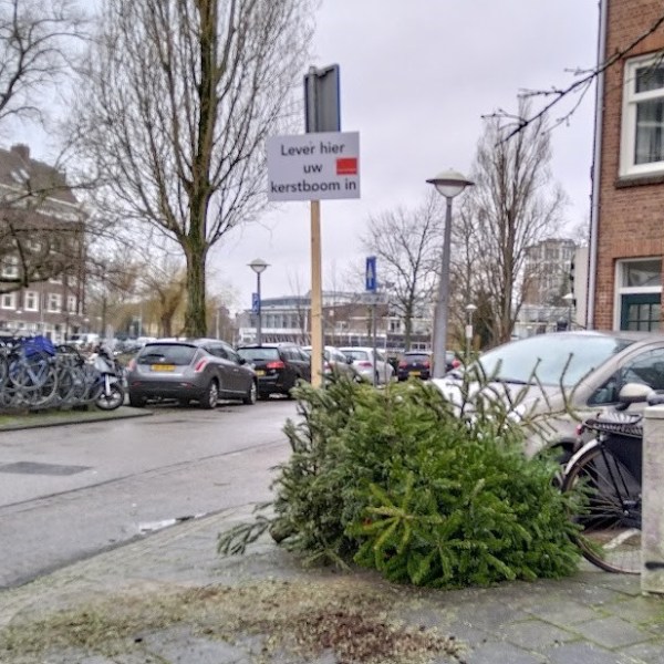 Къде да изхвърлим елхата?