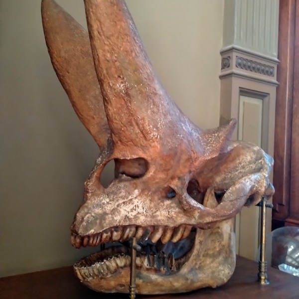 Teylers Museum в Харлем: най-старият музей на Нидерландия